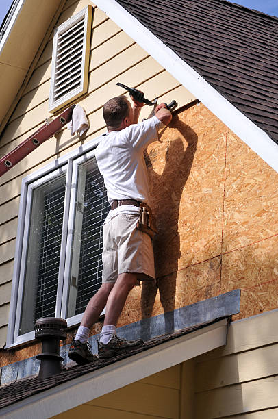 Affordable siding repair and maintenance services in New Carlisle, OH